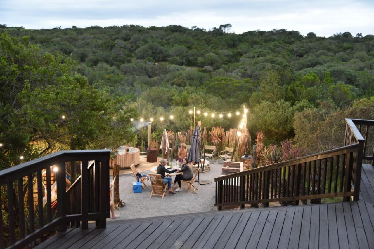 Burlington Bush By The Oyster Collection 4*